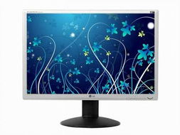 4000元搞定22寬屏液晶配置