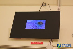 消費者不傻了 解析為何沒人再提蘋果屏