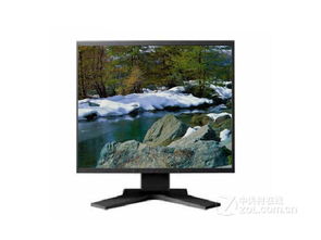 EIZO S1901T LCD液晶顯示屏 專業(yè)顯示體驗(yàn)的經(jīng)典之作